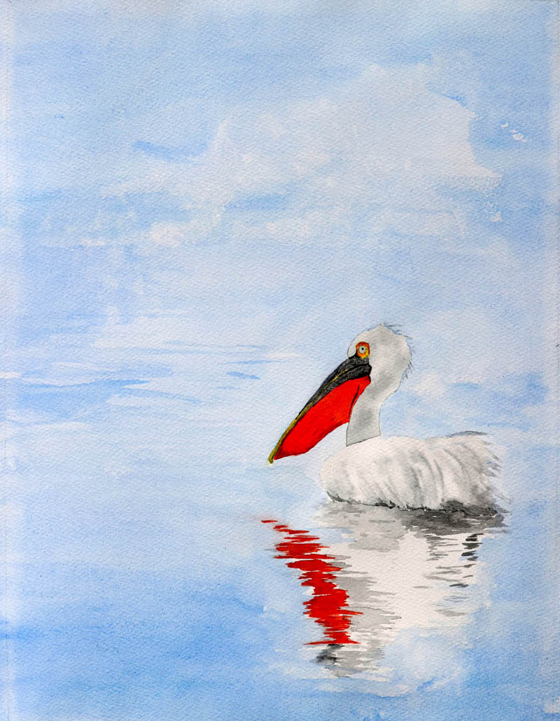Watercolour painting of a pelican floating in the mist