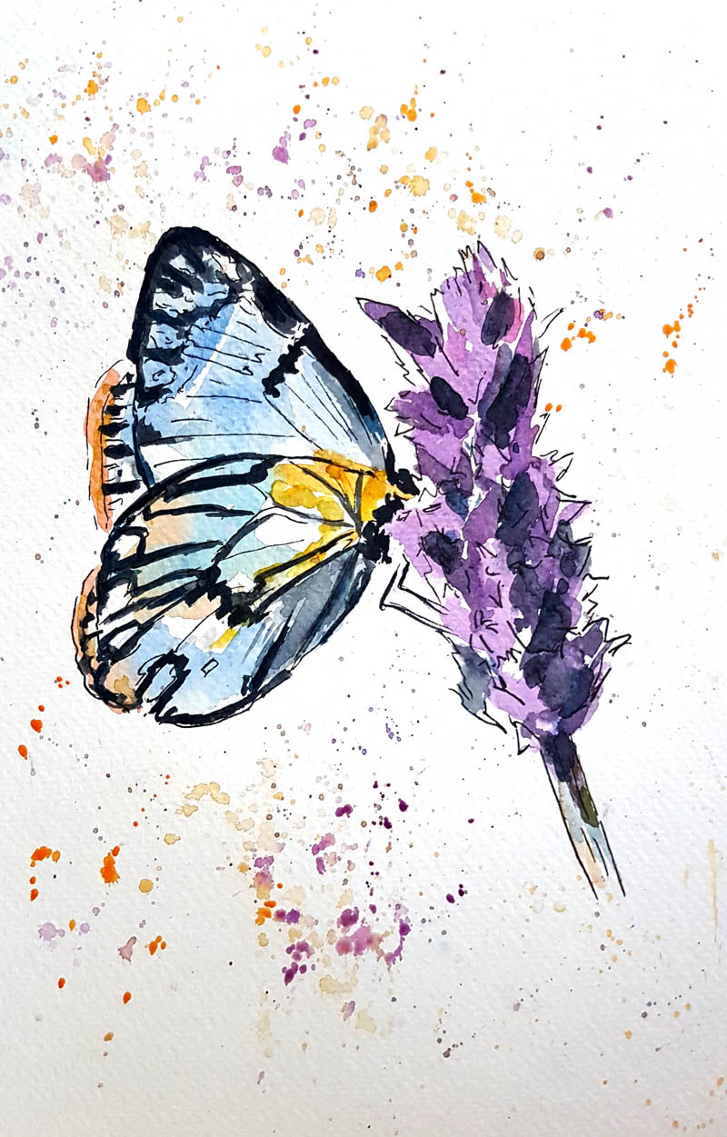 Watercolour painting of a butterfly
