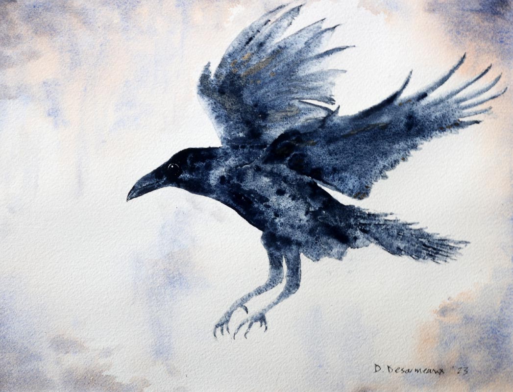 Loose watercolour painting of raven in flight
