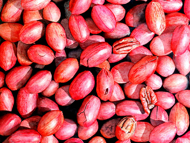 Watercolour painting by David Desormeaux of a bunch of pecans